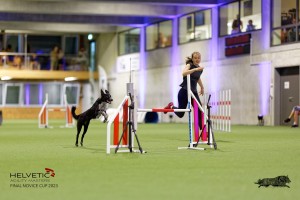 1T0A4219_DxO