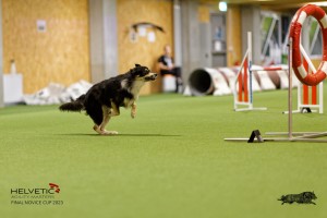 1T0A4372_DxO