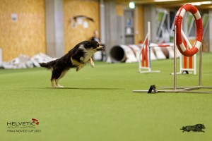 1T0A4373_DxO