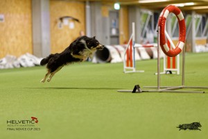 1T0A4374_DxO