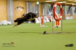 1T0A4375_DxO