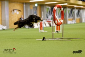 1T0A4376_DxO