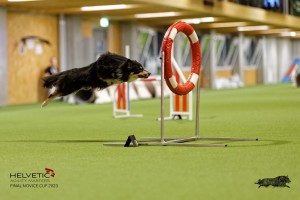 1T0A4377_DxO