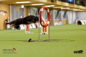 1T0A4378_DxO