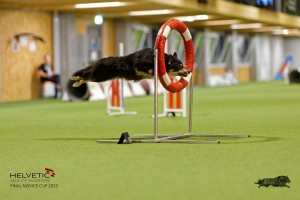 1T0A4379_DxO