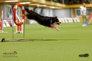 1T0A4384_DxO