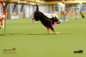 1T0A4387_DxO