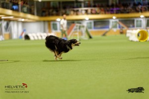 1T0A4389_DxO