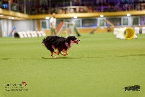1T0A4390_DxO