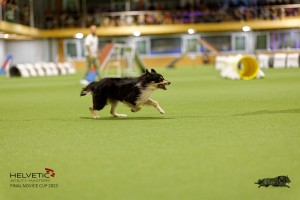 1T0A4391_DxO