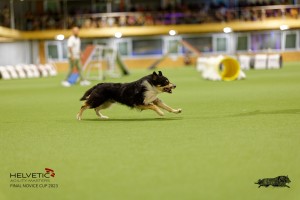 1T0A4392_DxO