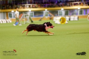 1T0A4393_DxO