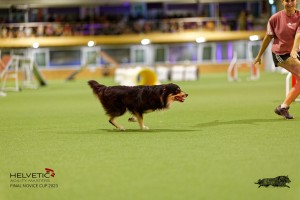 1T0A4396_DxO