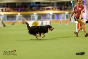 1T0A4397_DxO