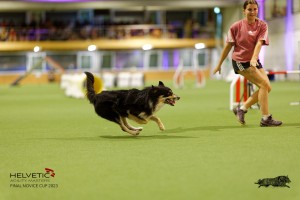 1T0A4398_DxO