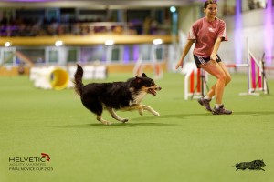 1T0A4399_DxO
