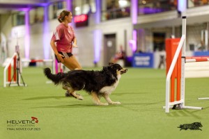 1T0A4408_DxO