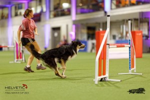 1T0A4410_DxO