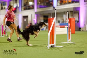 1T0A4411_DxO