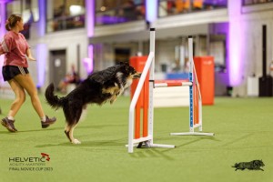 1T0A4412_DxO