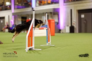 1T0A4415_DxO