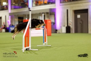 1T0A4416_DxO