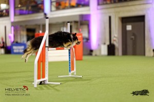 1T0A4417_DxO