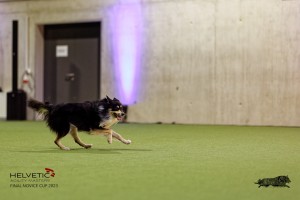 1T0A4494_DxO