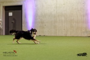 1T0A4496_DxO