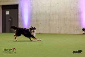1T0A4497_DxO