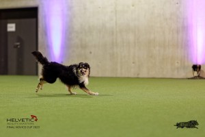 1T0A4498_DxO