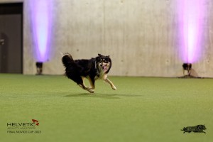 1T0A4502_DxO