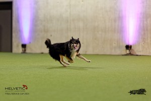 1T0A4503_DxO