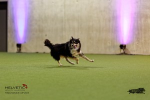 1T0A4504_DxO
