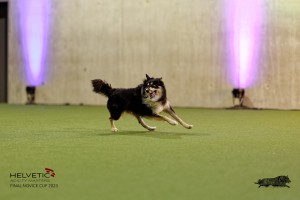 1T0A4505_DxO