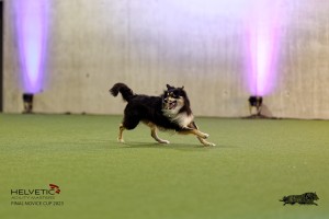 1T0A4506_DxO