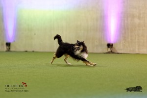 1T0A4507_DxO