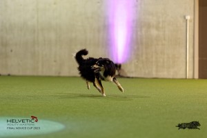 1T0A4512_DxO