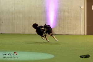 1T0A4513_DxO