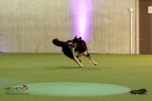 1T0A4514_DxO