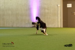 1T0A4519_DxO
