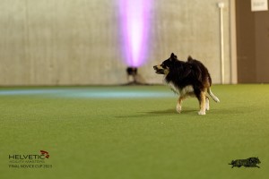 1T0A4526_DxO