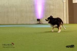 1T0A4527_DxO