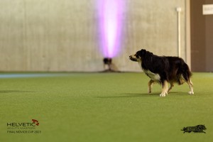 1T0A4531_DxO