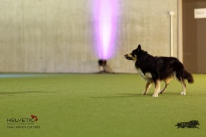 1T0A4533_DxO