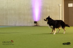 1T0A4534_DxO