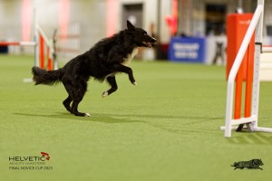 1T0A4636_DxO