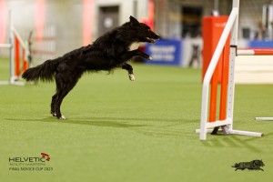 1T0A4637_DxO