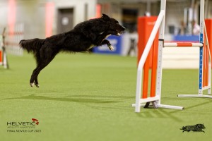 1T0A4638_DxO