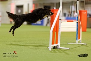 1T0A4639_DxO
